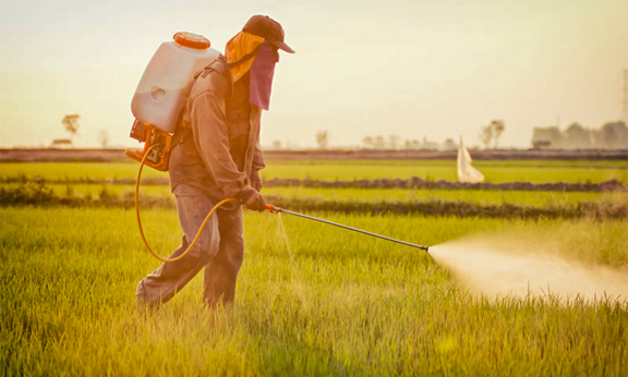 Agro Chemicals