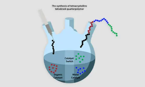 Catalyst Tin